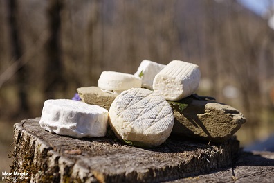 Assortiment de fromages de chèvre