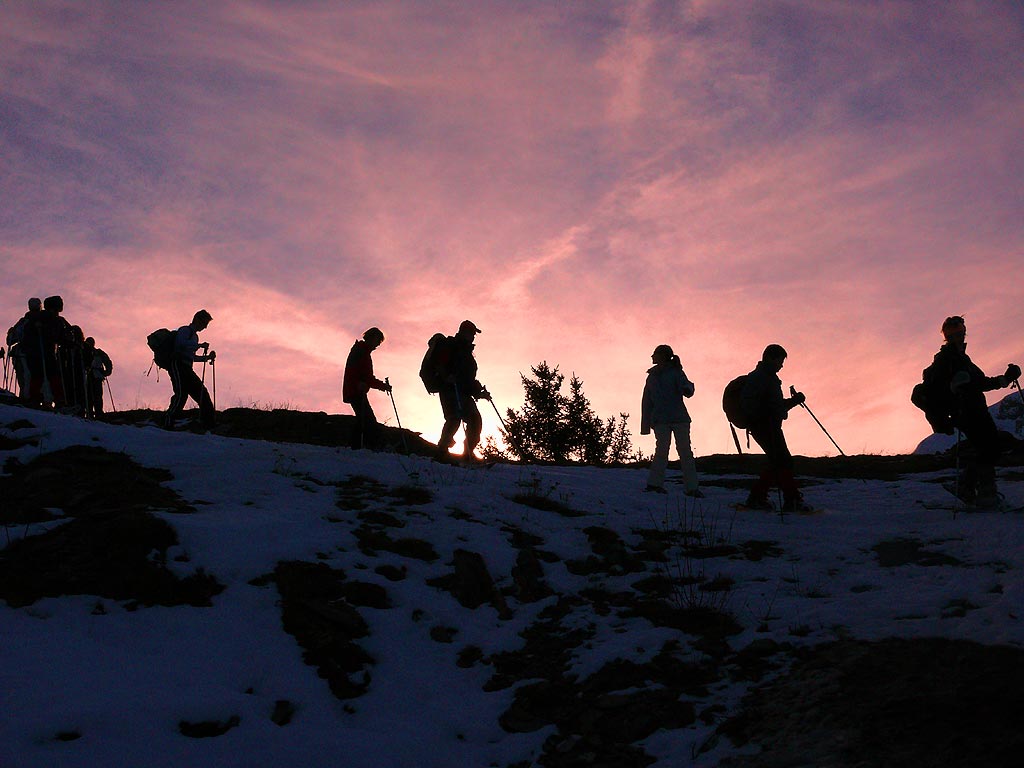 activité pleine nature